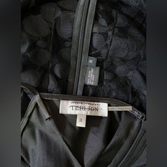 Teri Jon by Rickie Freeman Lace Pintuck Dress size 14 - Picture 12 of 13